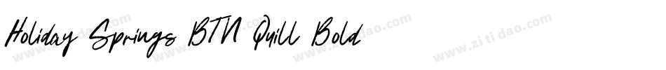 Holiday Springs BTN Quill Bold字体转换